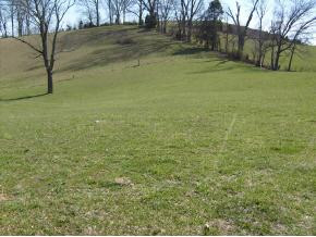 371 Whitehead Road Bluff City, TN 37618 - Photo 6 of 6 Photo 6
