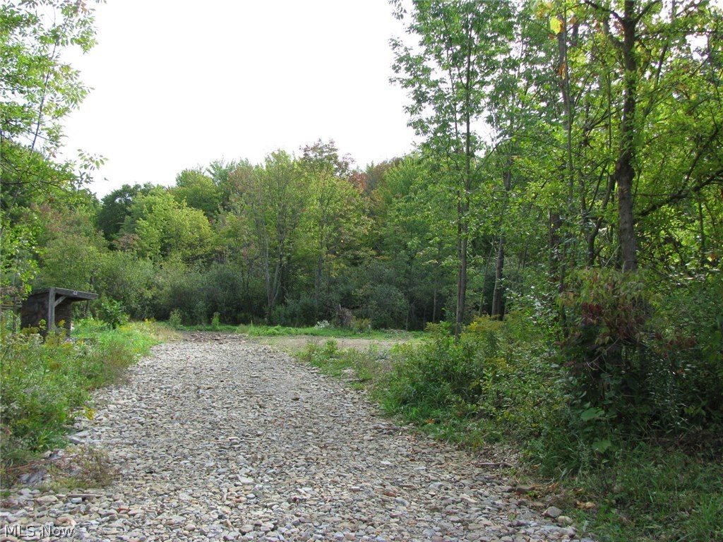 V/l Sumner Road Thompson, OH 44086 - Photo 1 of 17