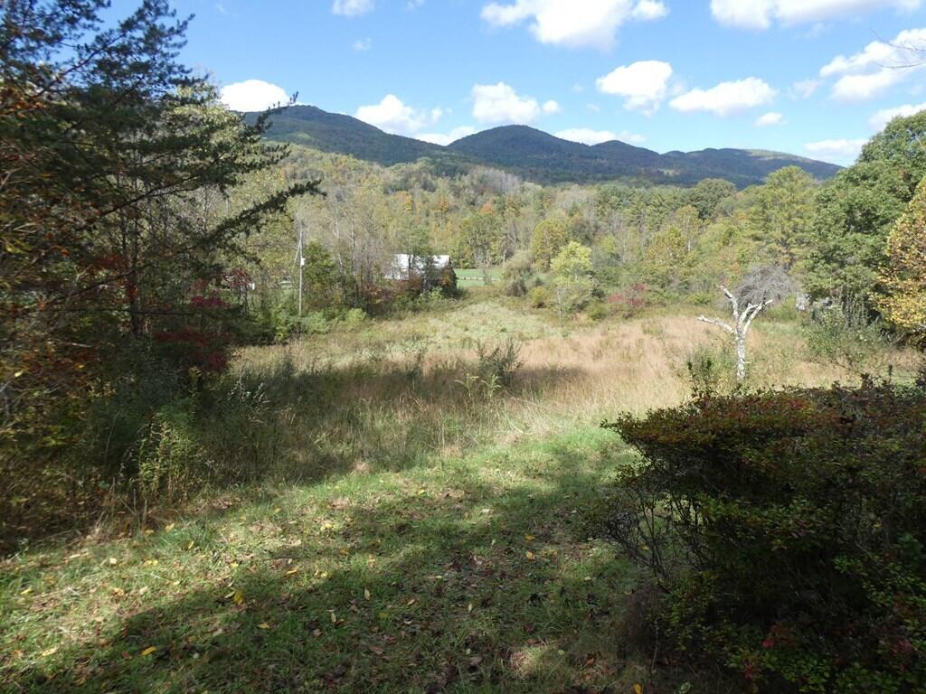 27448 Poor Valley Road Saltville, VA 24370 - Photo 38 of 42 80989_42