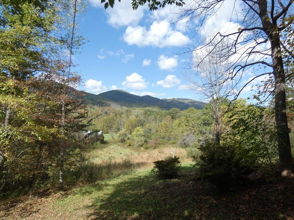 27448 Poor Valley Road Saltville, VA 24370 - Photo 41 of 42 80989_45