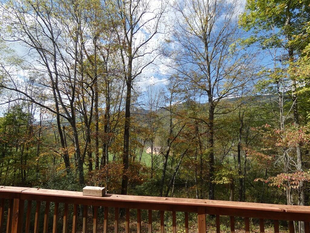 27448 Poor Valley Road Saltville, VA 24370 - Photo 42 of 42 80989_46