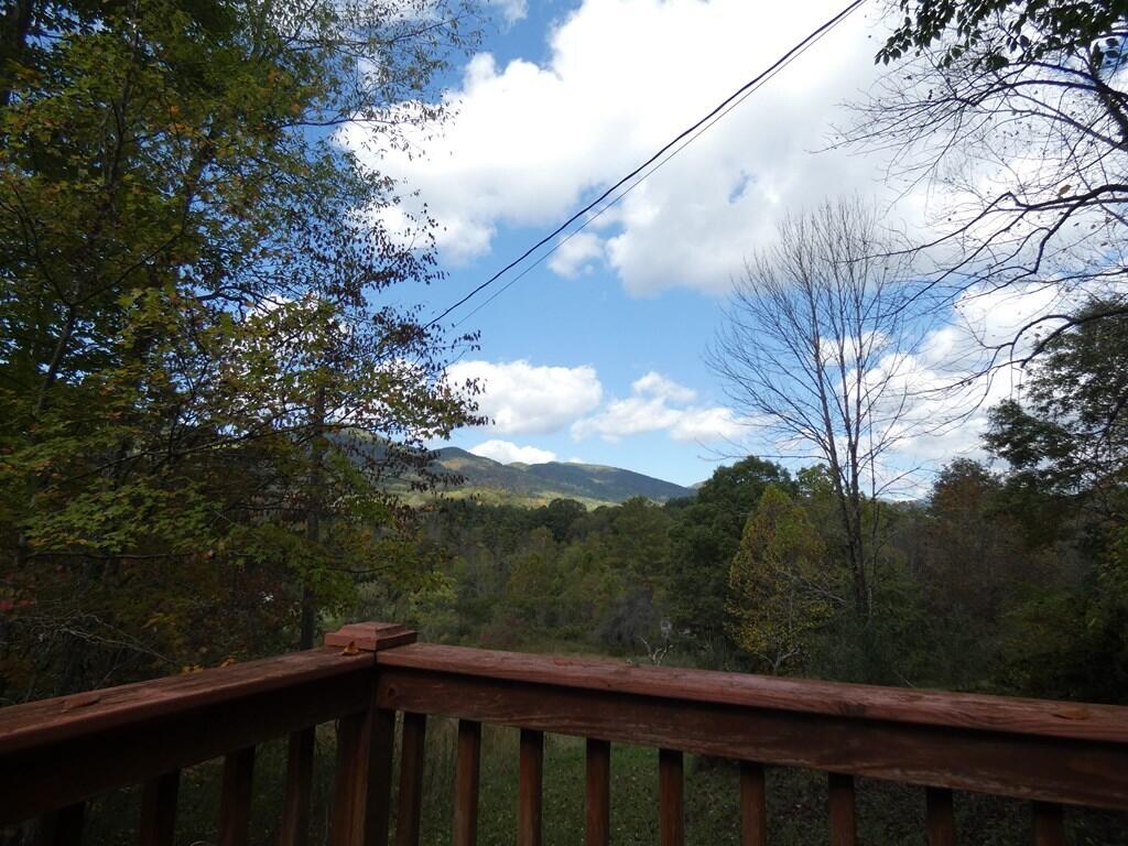 27448 Poor Valley Road Saltville, VA 24370 - Photo 5 of 42 80989_4