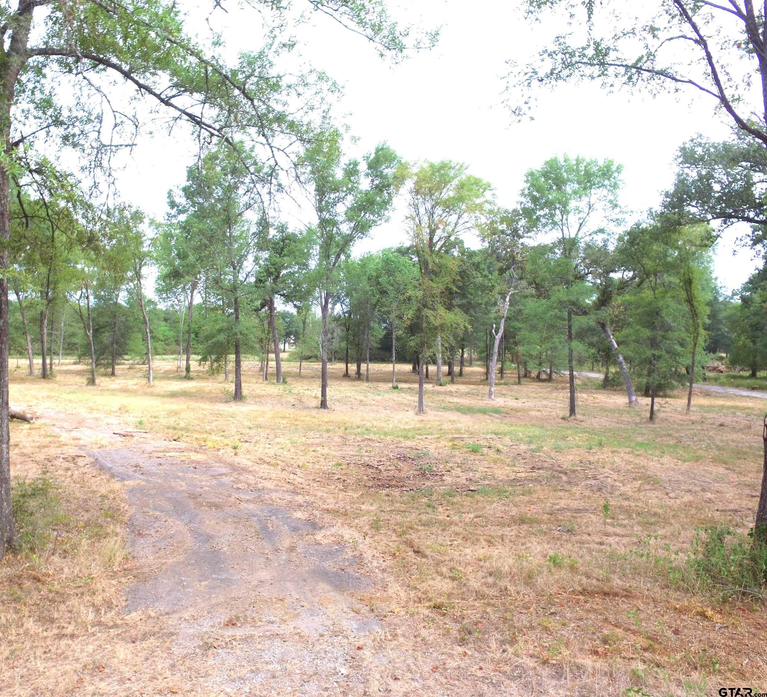 a view of open space with trees