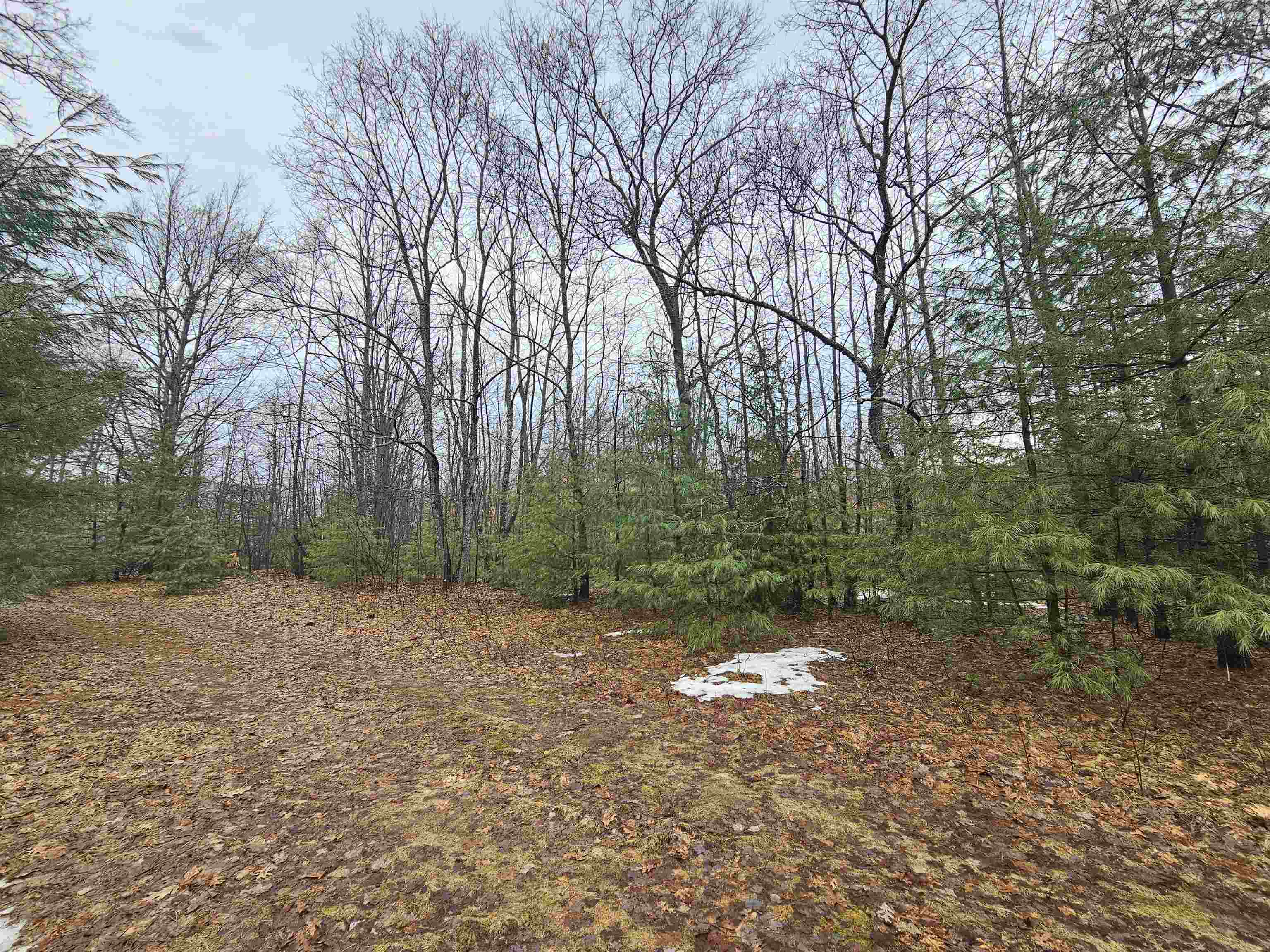 1407 South La Chance Road Lake City, MI 49651 - Photo 25 of 34