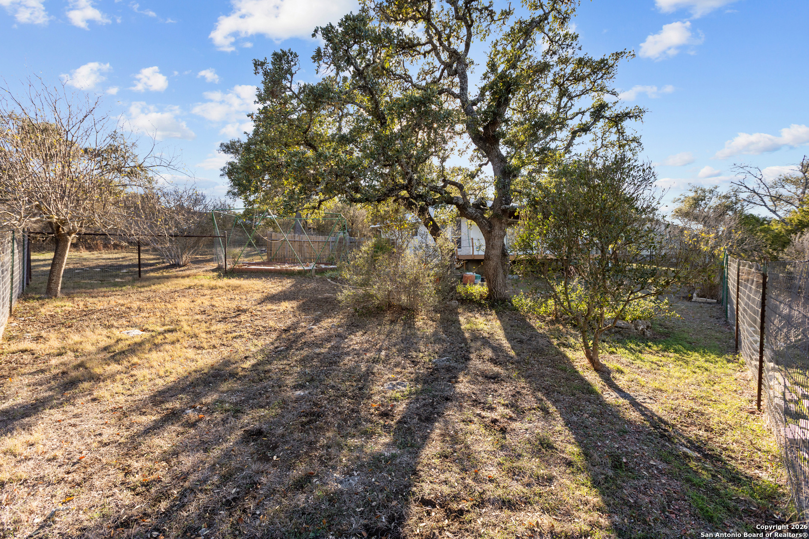 431 Windy Hill Drive Spring Branch, TX 78070 - Photo 27 of 45 a view of yard with trees