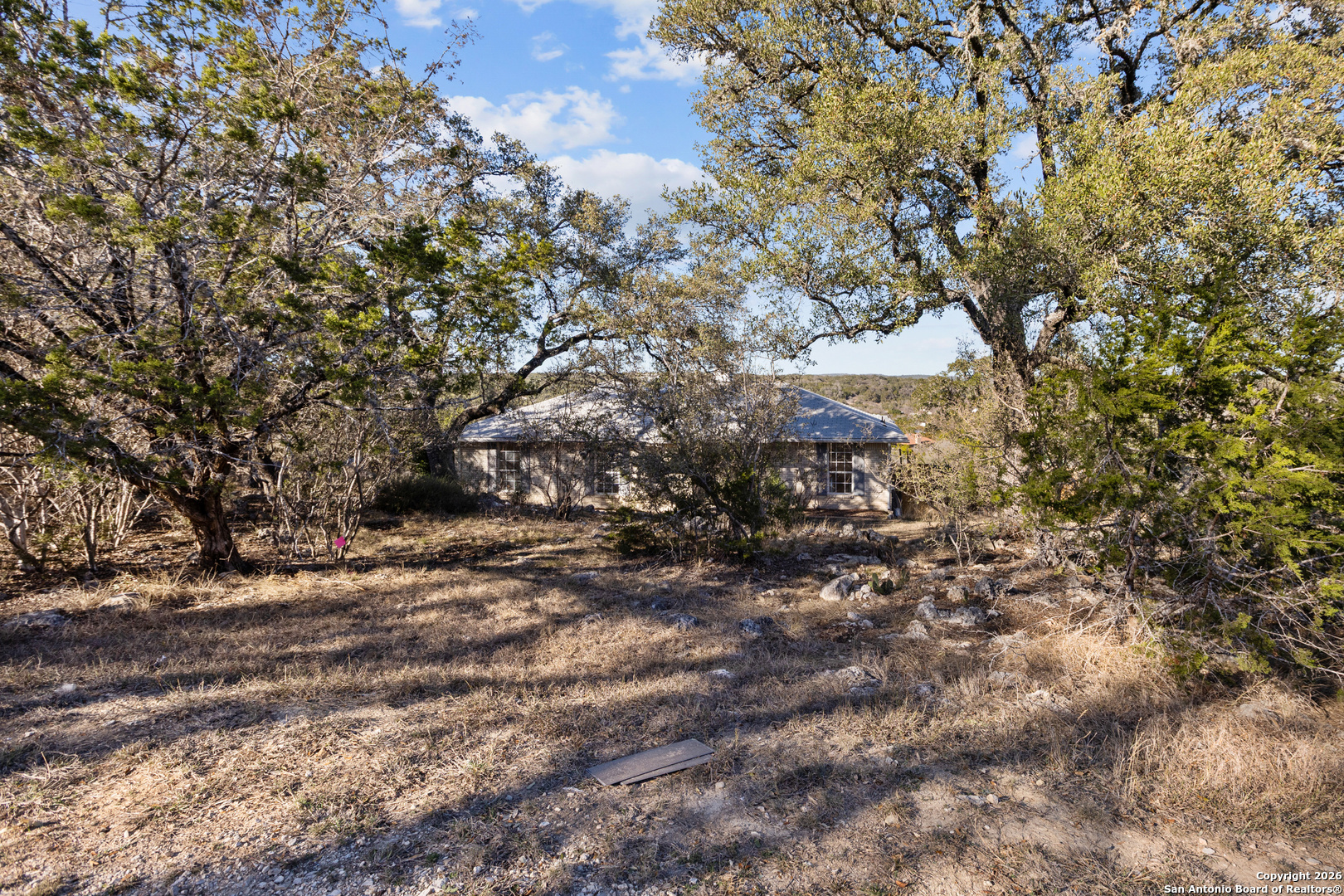 431 Windy Hill Drive Spring Branch, TX 78070 - Photo 31 of 45 a view of a forest filled with trees