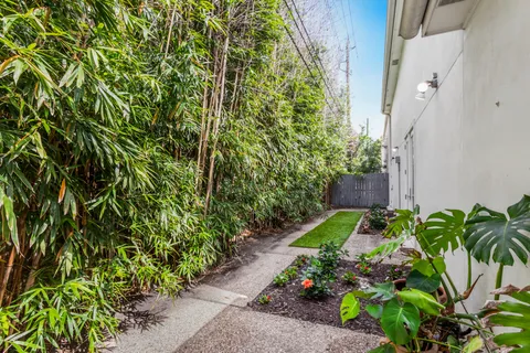a view of a garden with plants