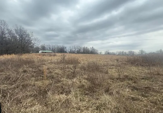 $475,000 | 0 County Road, Malden, MO 63863