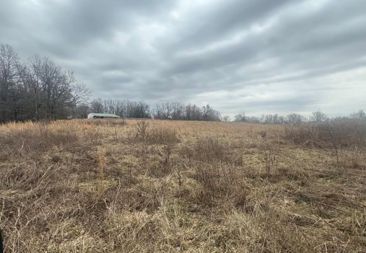 0 County Road Malden, MO 63863 - Photo 2 of 5