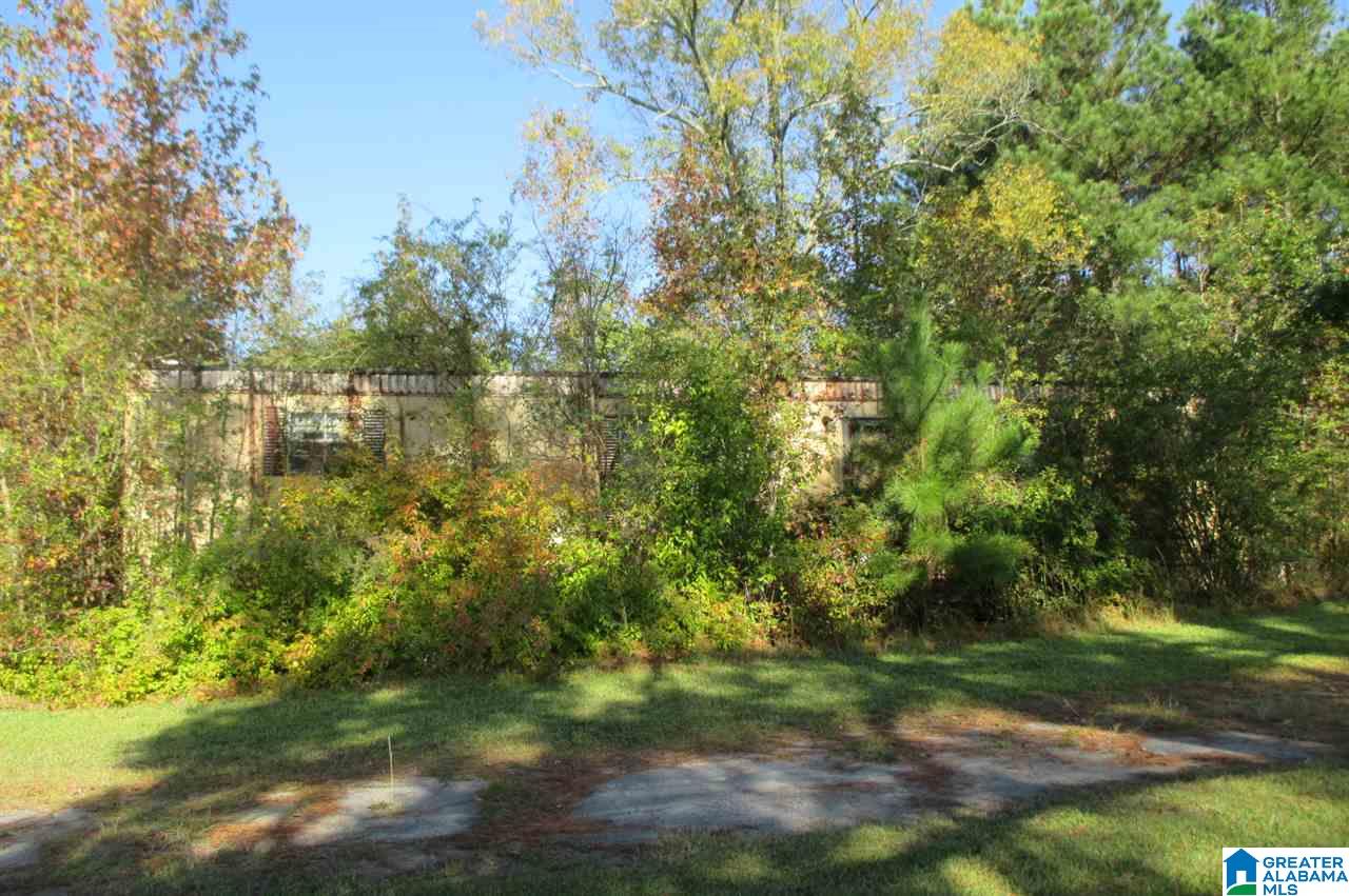 1161 Mardis Mill Road Blountsville, AL 35031 - Photo 33 of 33