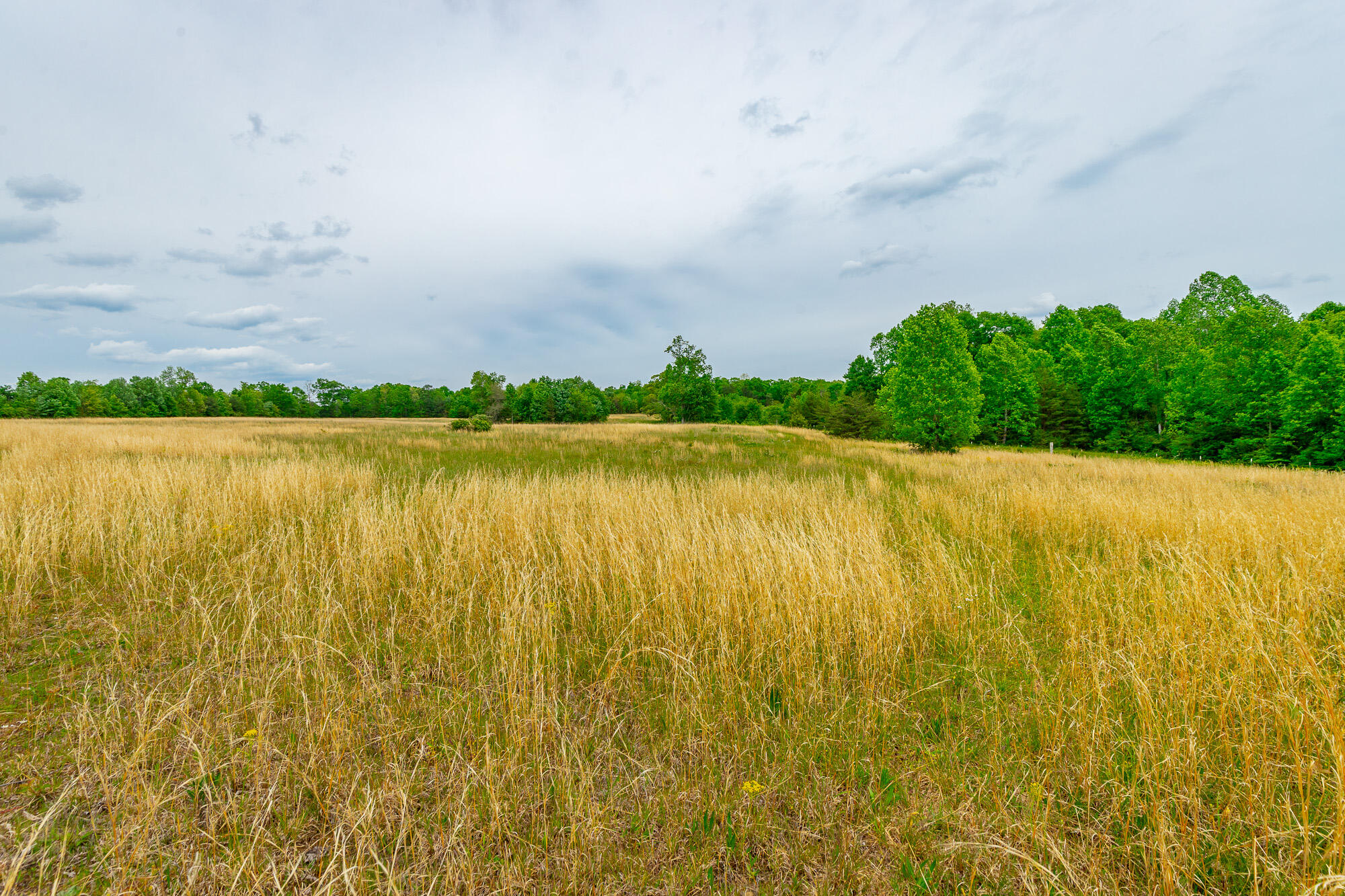 0 Ray Gadd Road Graysville, TN 37338 - Photo 95 of 109 Ray Gadd Road Lot HD-10
