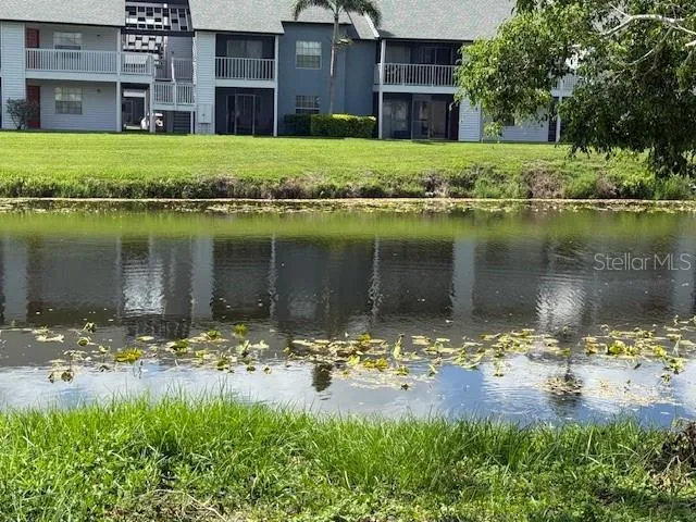 a view of a lake with a building in the background