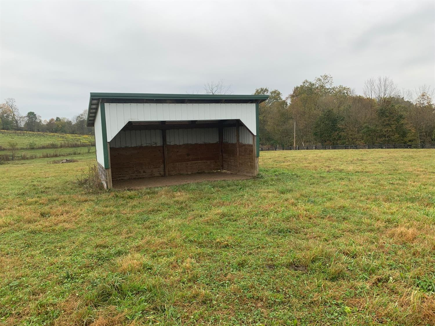 501 Townsend Valley Road Paris, KY 40361 - Photo 5 of 13 Photo 5