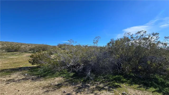 $149,000 | 0 Near United Street, Rosamond, CA 93560