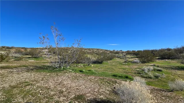 $149,000 | 0 Near United Street, Rosamond, CA 93560