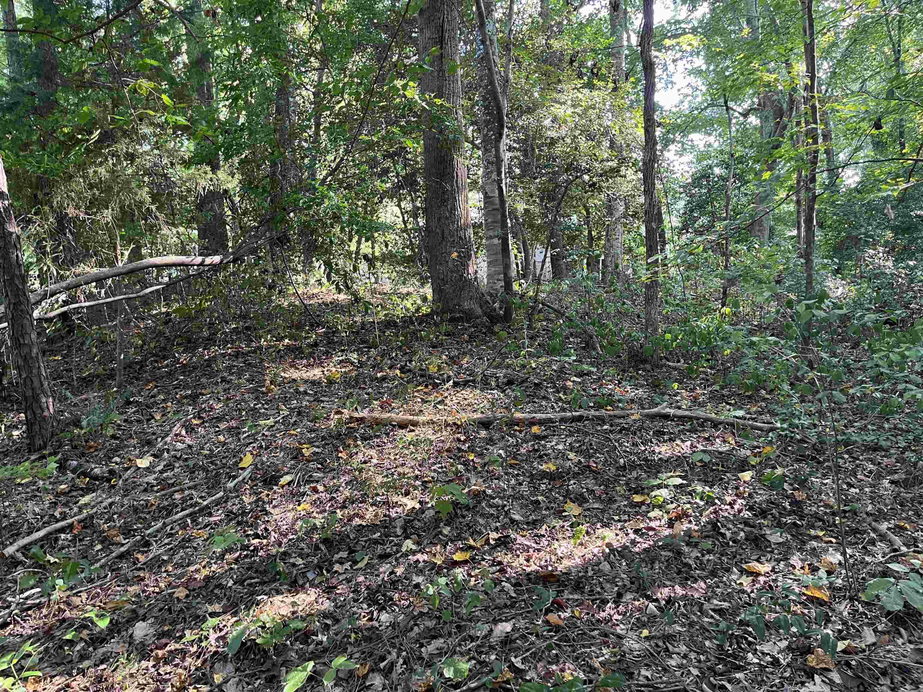 Tbd Country Canyon Drive Rockingham, NC 28379 - Photo 2 of 21 Photo 2