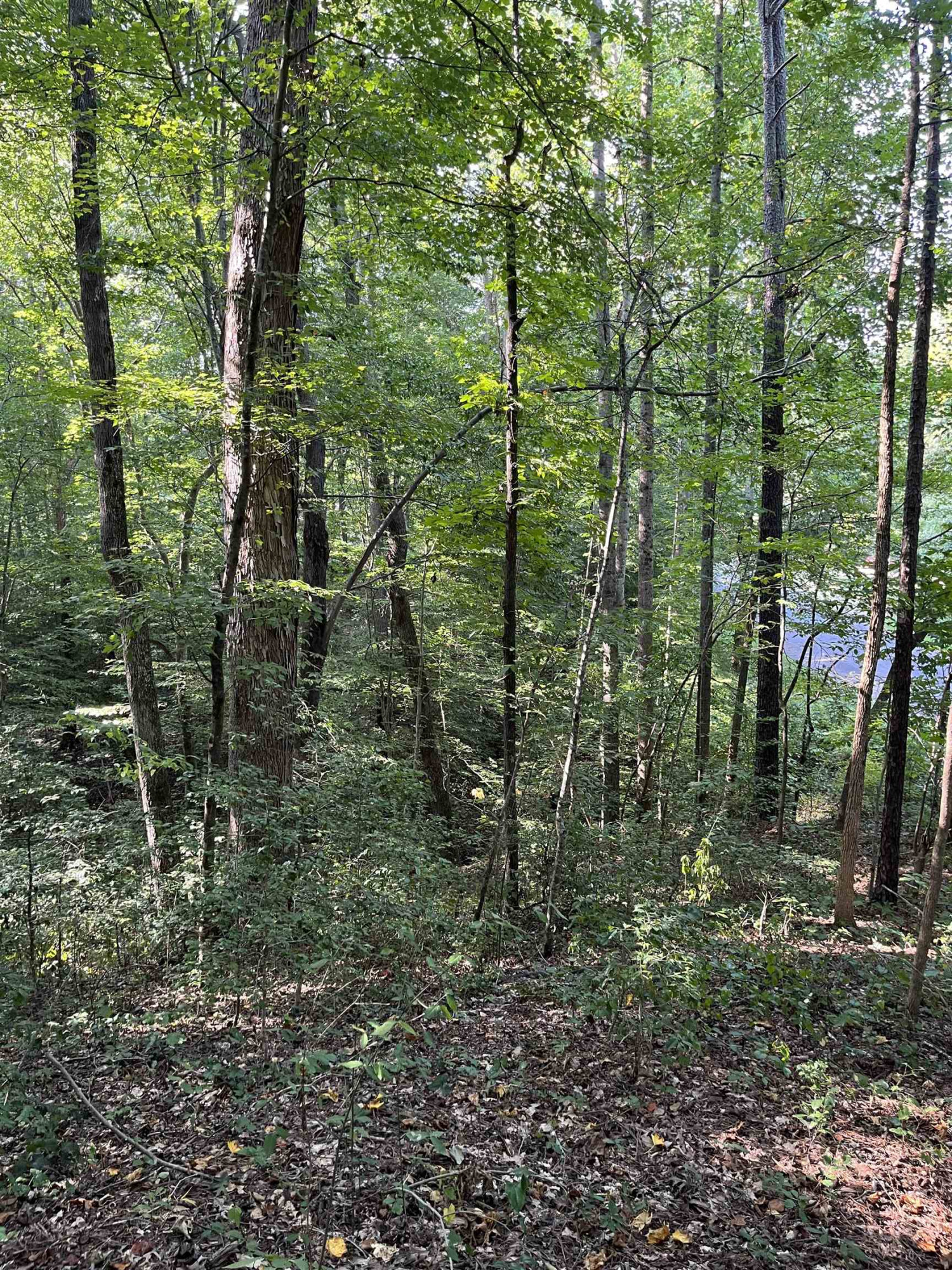 Tbd Country Canyon Drive Rockingham, NC 28379 - Photo 21 of 21 Photo 21