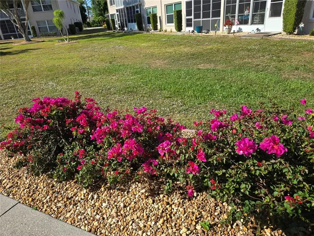 a view of a house with a big yard and large trees