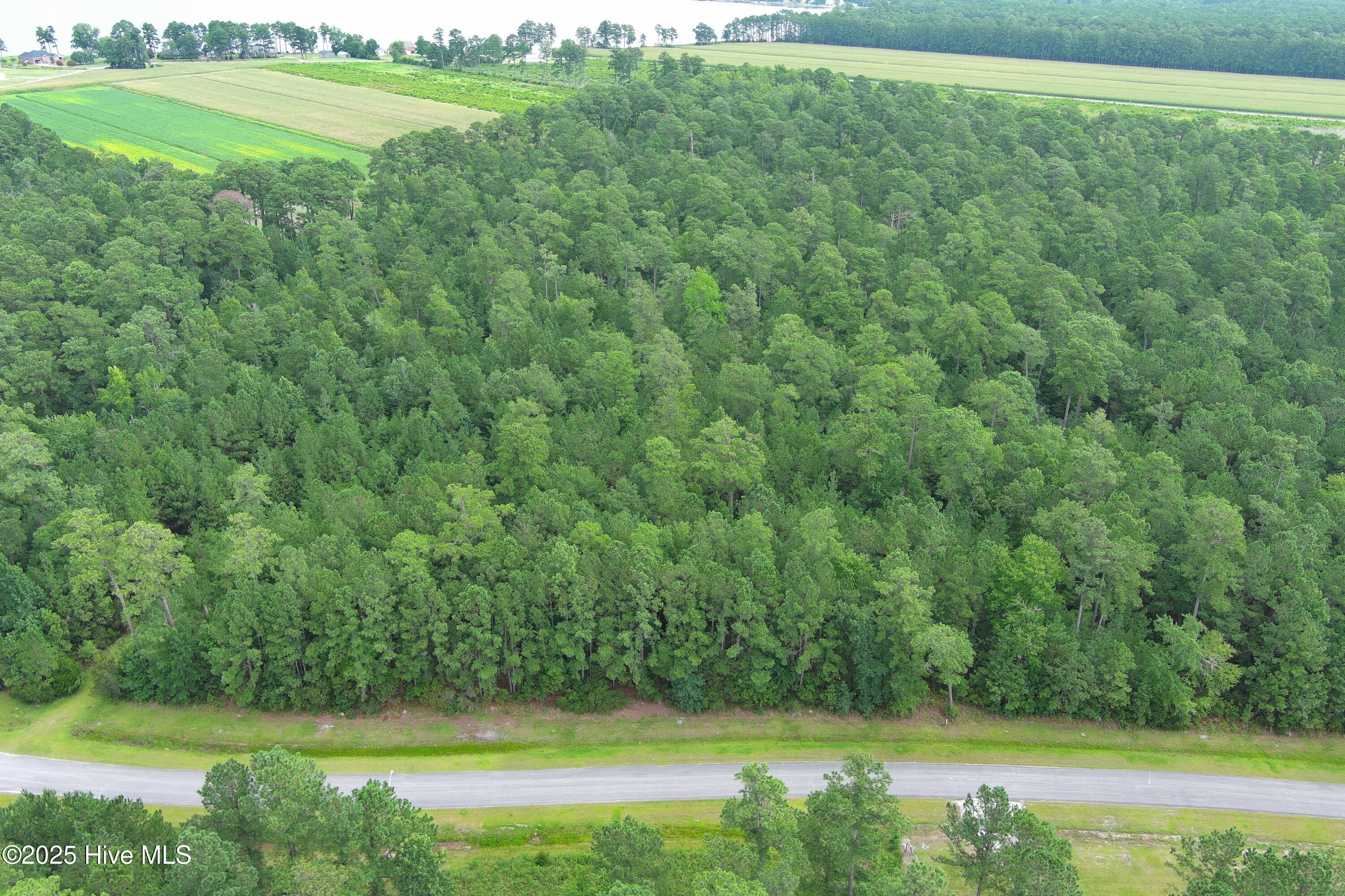 60 Arant Farm Road Merritt, NC 28556 - Photo 4 of 9 60.1
