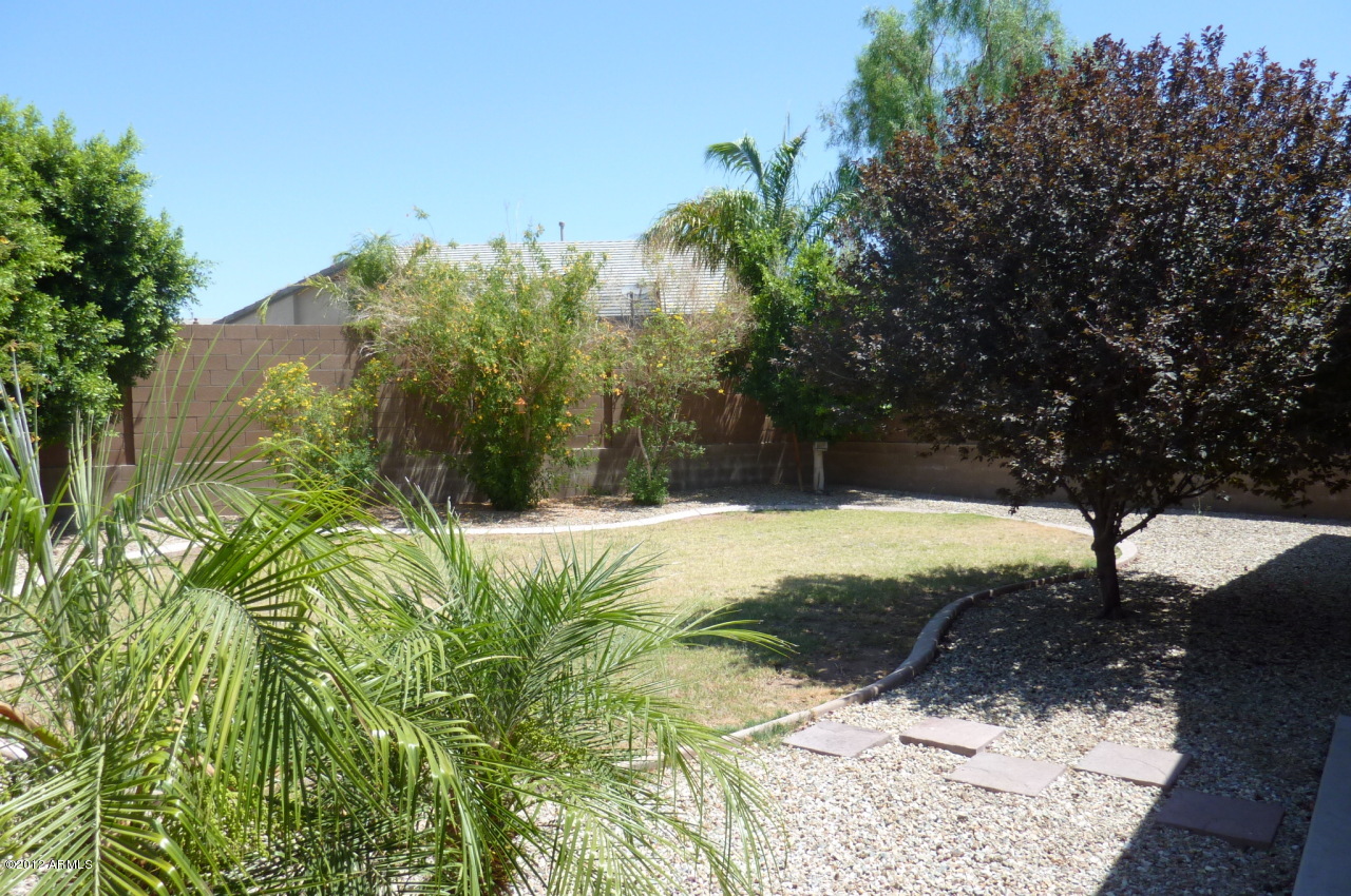 2214 West Steed Ridge Phoenix, AZ 85085 - Photo 13 of 15 backyard