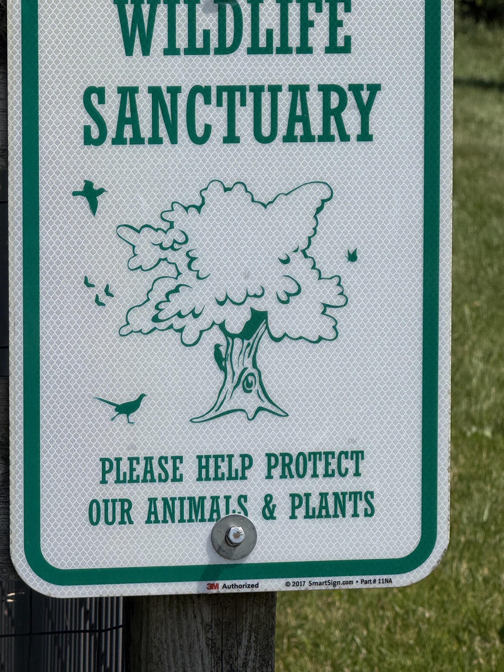 6089 South Willow Road Stockton, IL 61085 - Photo 40 of 43