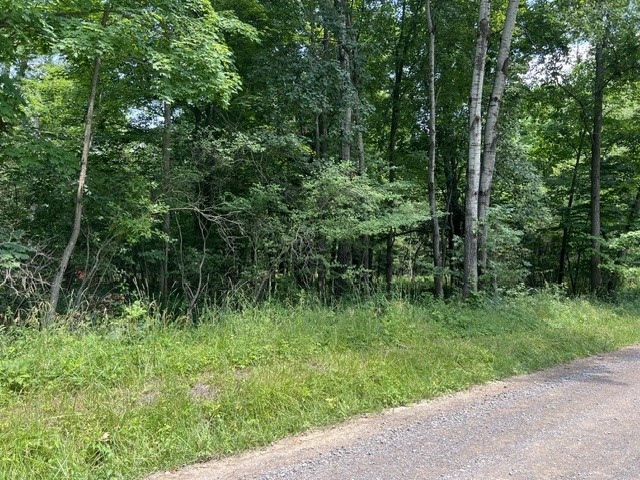 0 Ottawa Road Jamestown, PA 16134 - Photo 2 of 5 Gallery Image 2