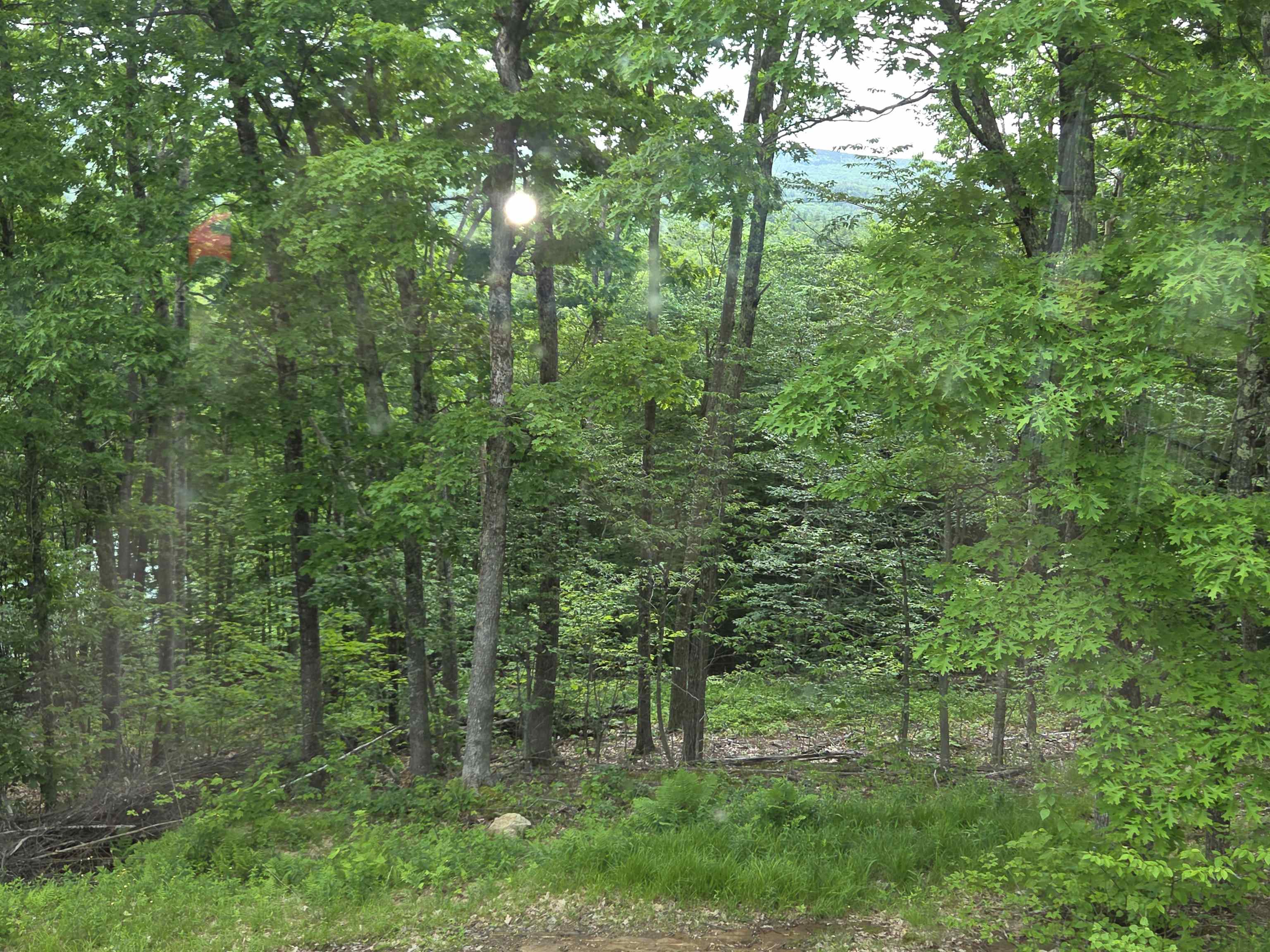 1046 Kings Highway Stoddard, NH 03464 - Photo 17 of 33
