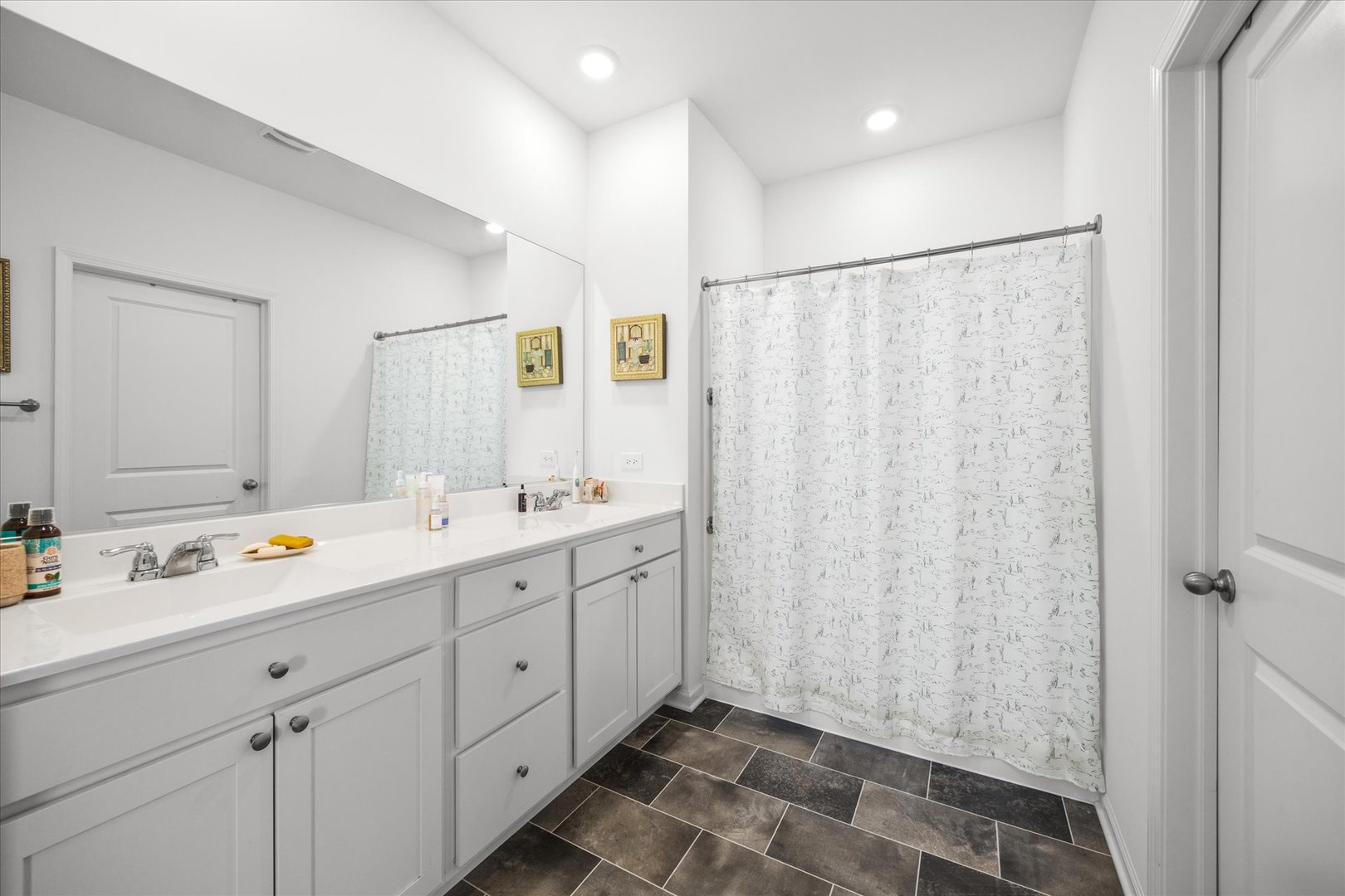 10122 Jonamac Avenue Huntley, IL 60142 - Photo 21 of 27 a bathroom with a double vanity sink and mirror