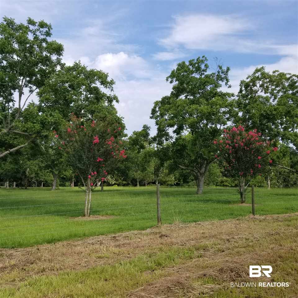 15560 Troon Drive Foley, AL 36535 - Photo 3 of 24 Back Yard View