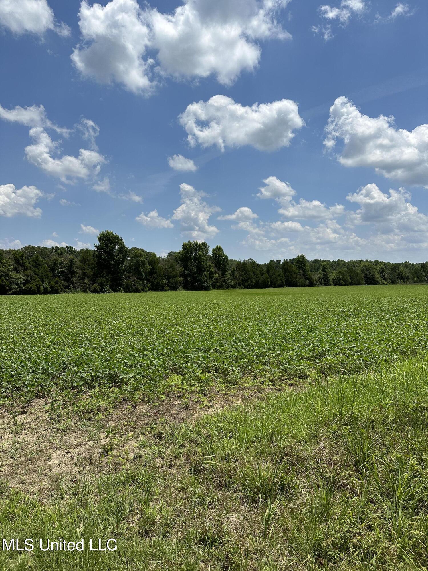 1 Springridge Road Raymond, MS 39154 - Photo 11 of 16 Field