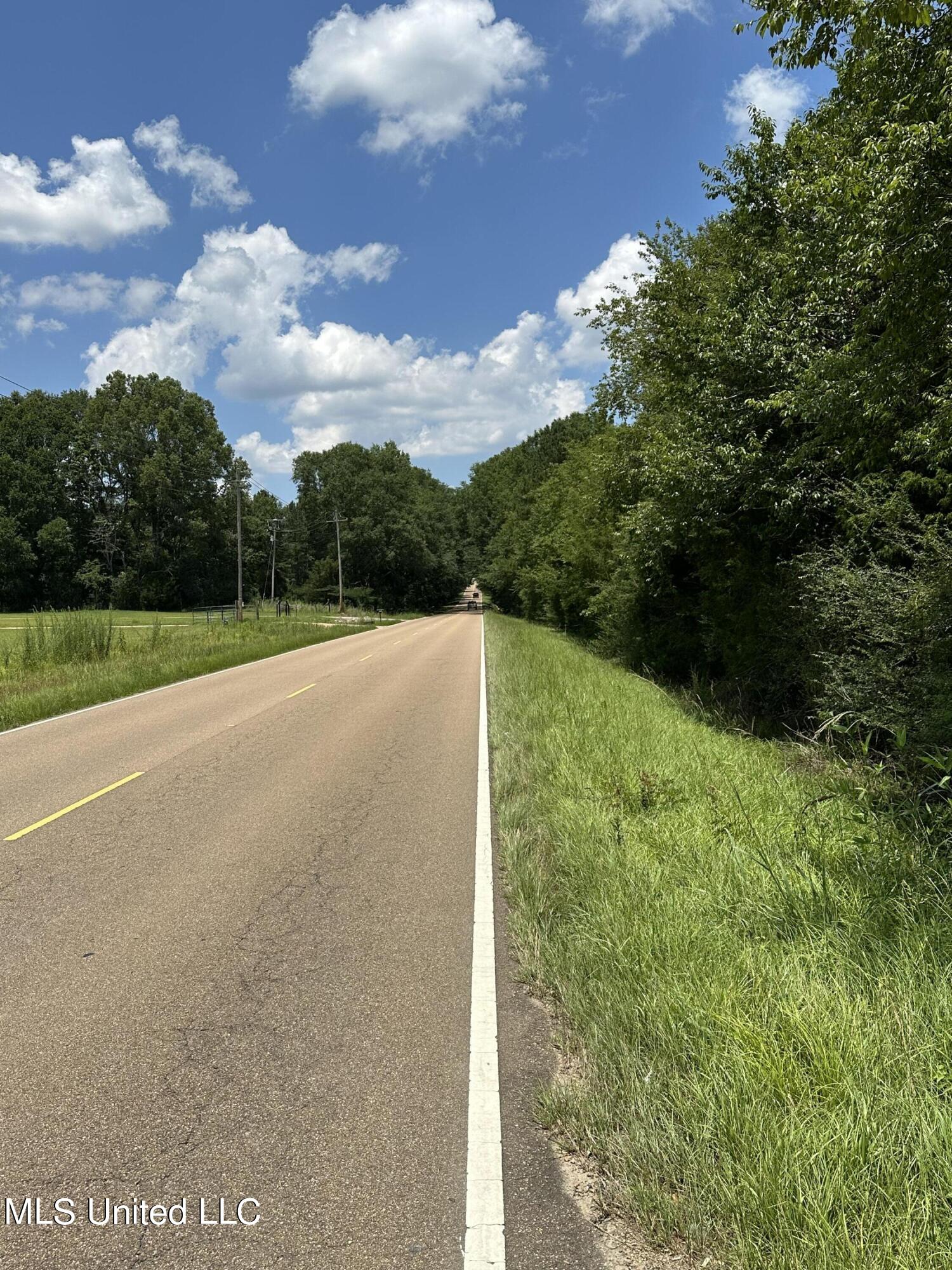 1 Springridge Road Raymond, MS 39154 - Photo 16 of 16 Springridge Road Frontage