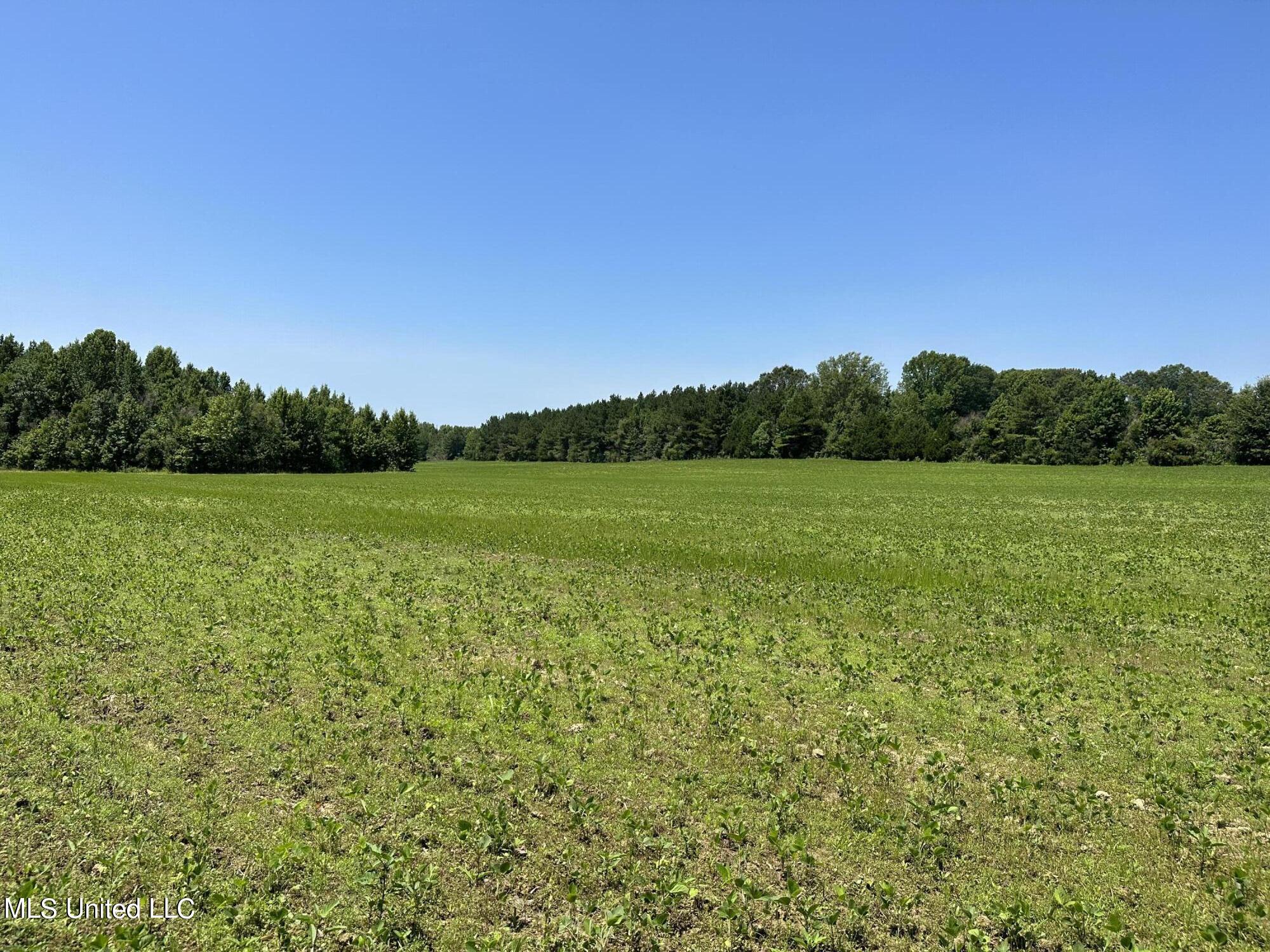 1 Springridge Road Raymond, MS 39154 - Photo 3 of 16 Field