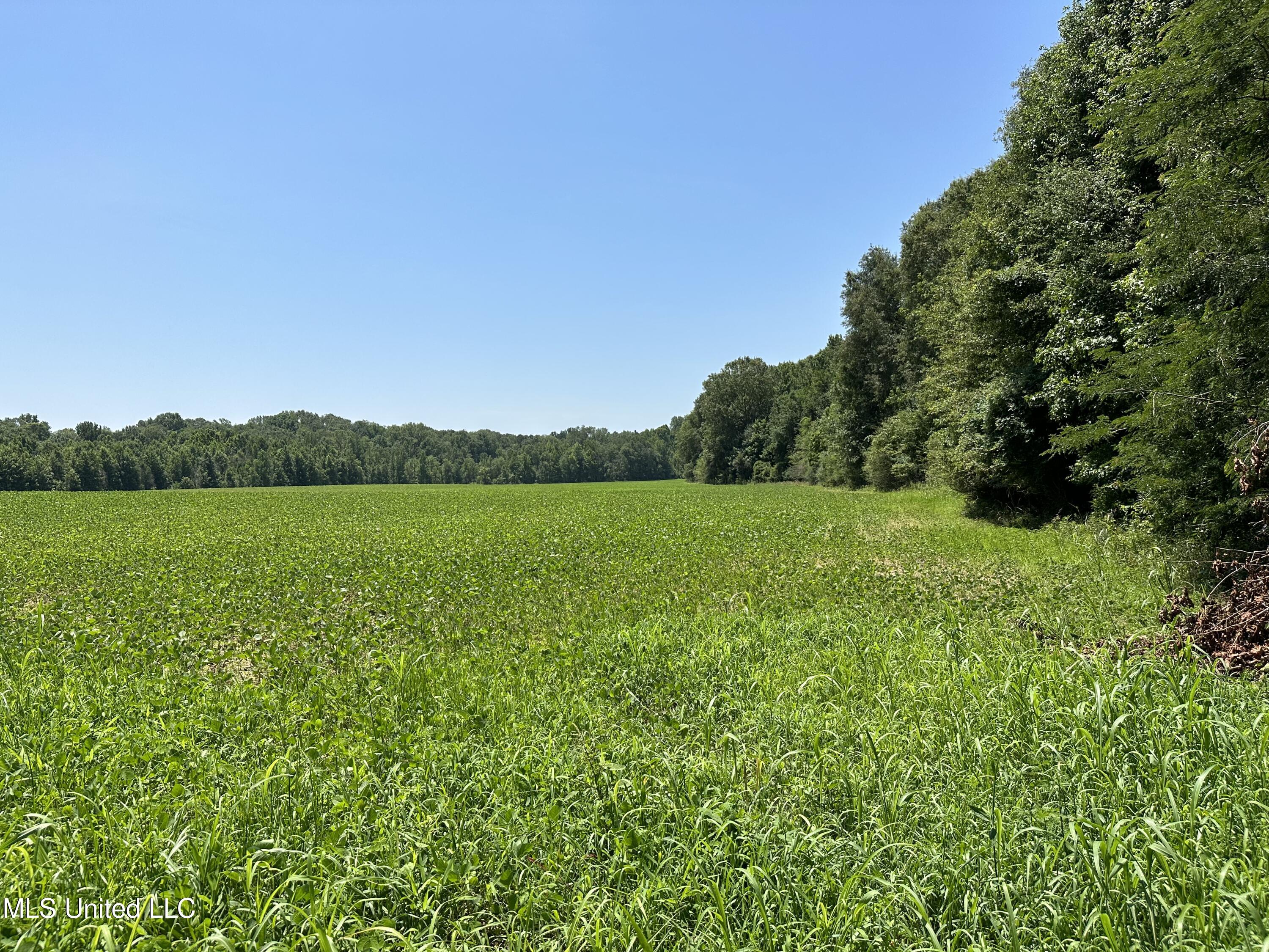 1 Springridge Road Raymond, MS 39154 - Photo 4 of 16 Field