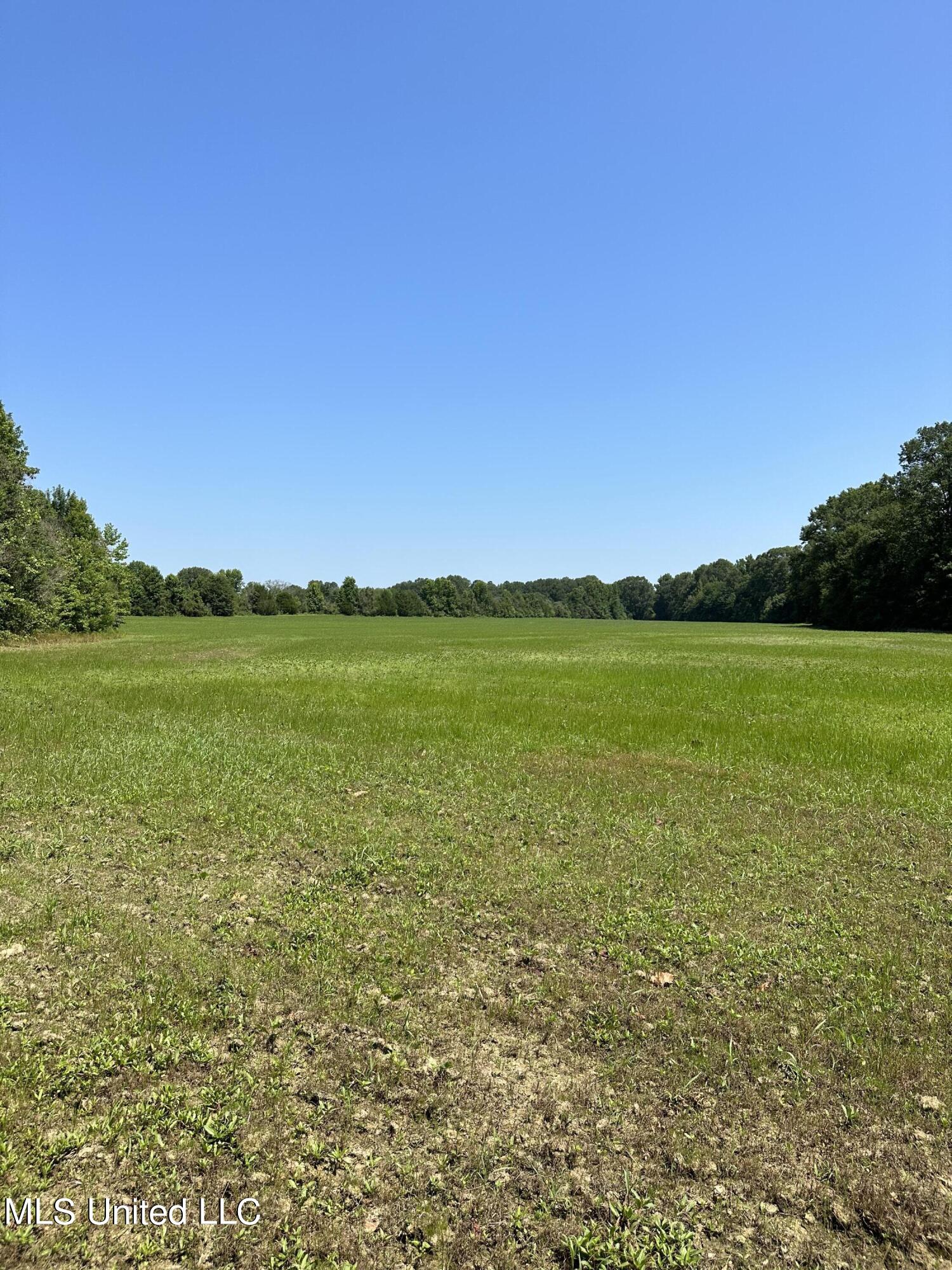 1 Springridge Road Raymond, MS 39154 - Photo 6 of 16 Field