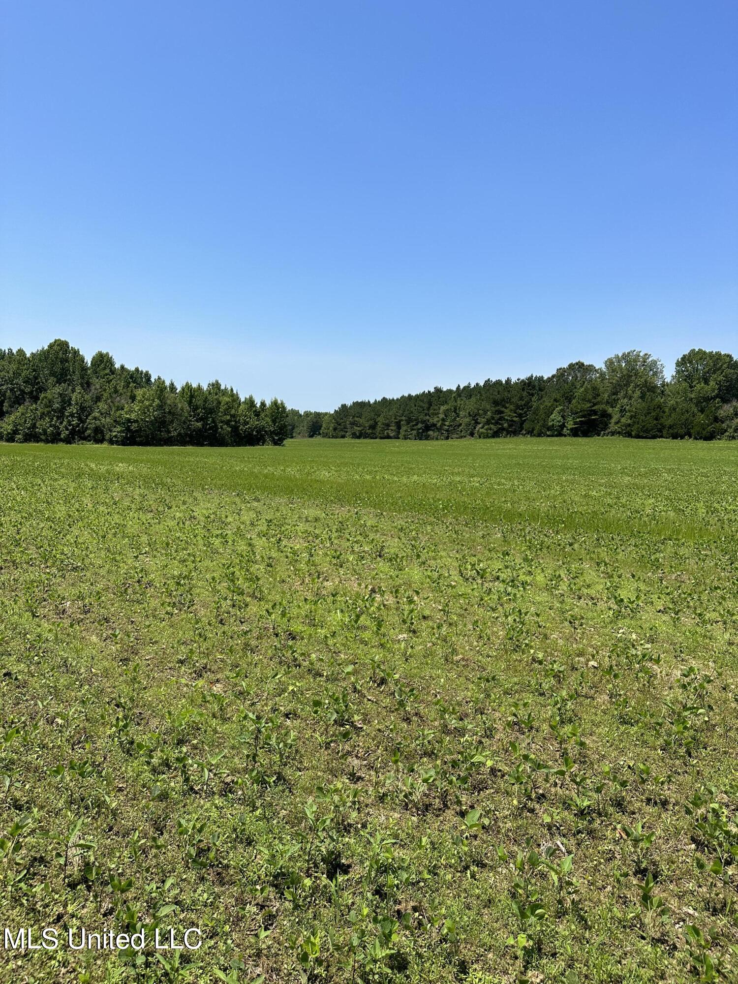 1 Springridge Road Raymond, MS 39154 - Photo 7 of 16 Field
