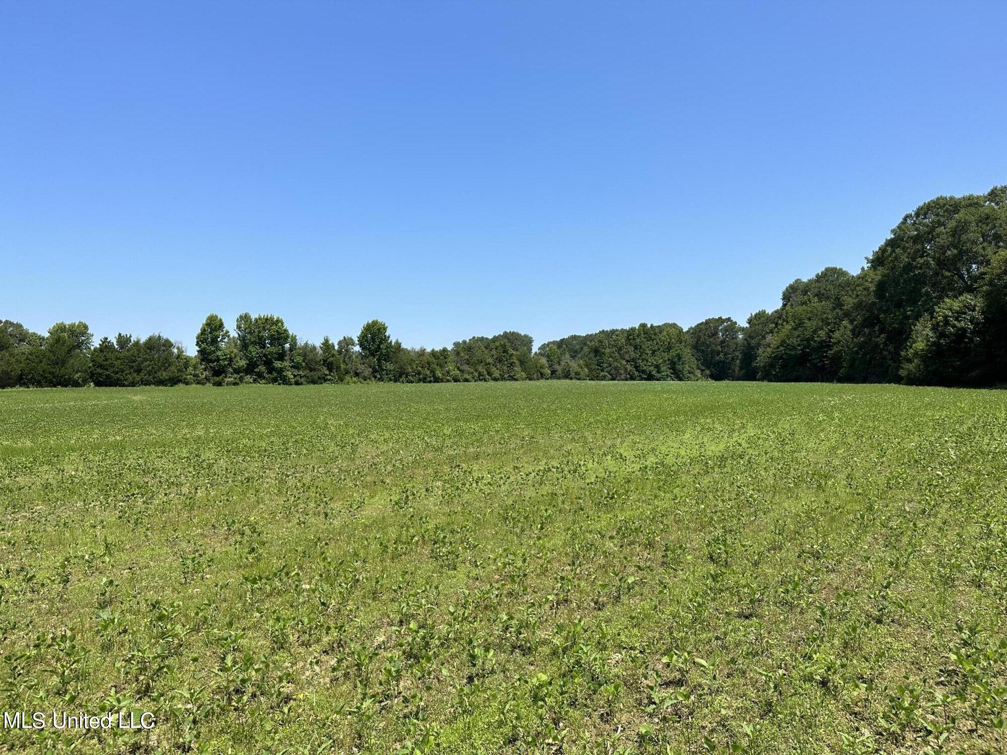 1 Springridge Road Raymond, MS 39154 - Photo 8 of 16 Field