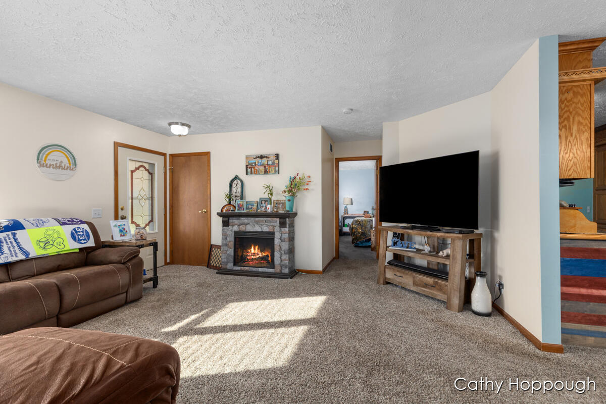 3494 Bradford Road Ionia, MI 48846 - Photo 4 of 48