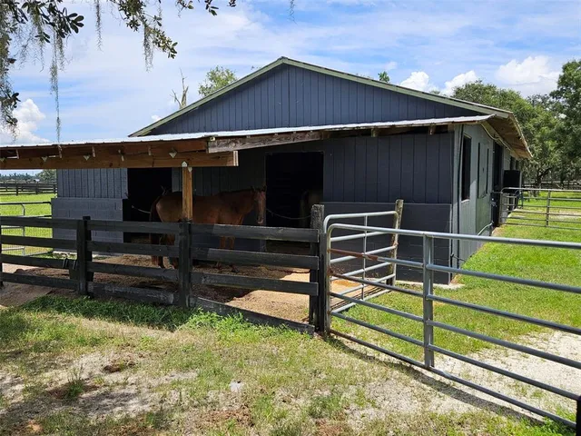 a view of a park with large trees