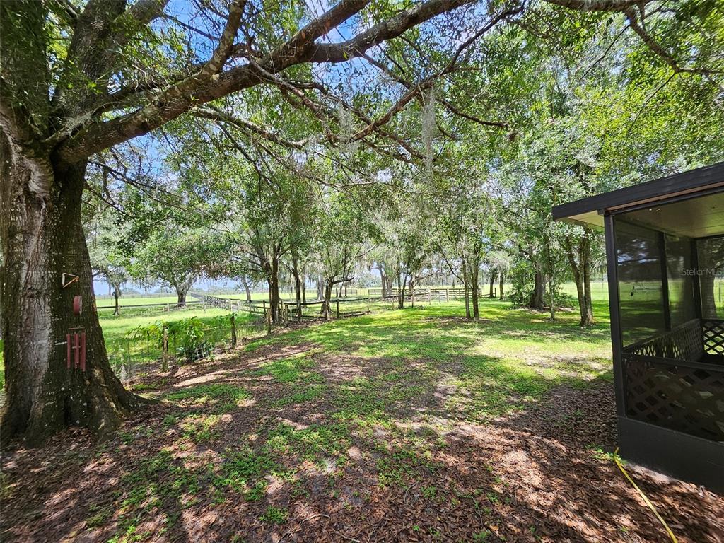 2596 96th Street Arcadia, FL 34266 - Photo 20 of 59 a view of a yard with tree s