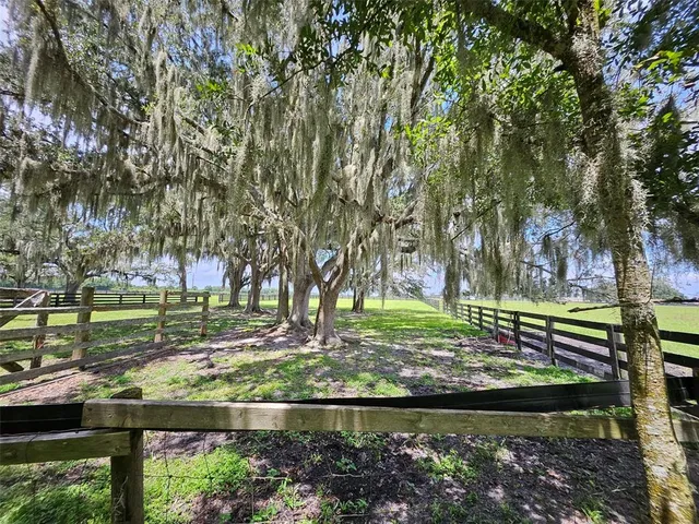 a view of a backyard with large trees