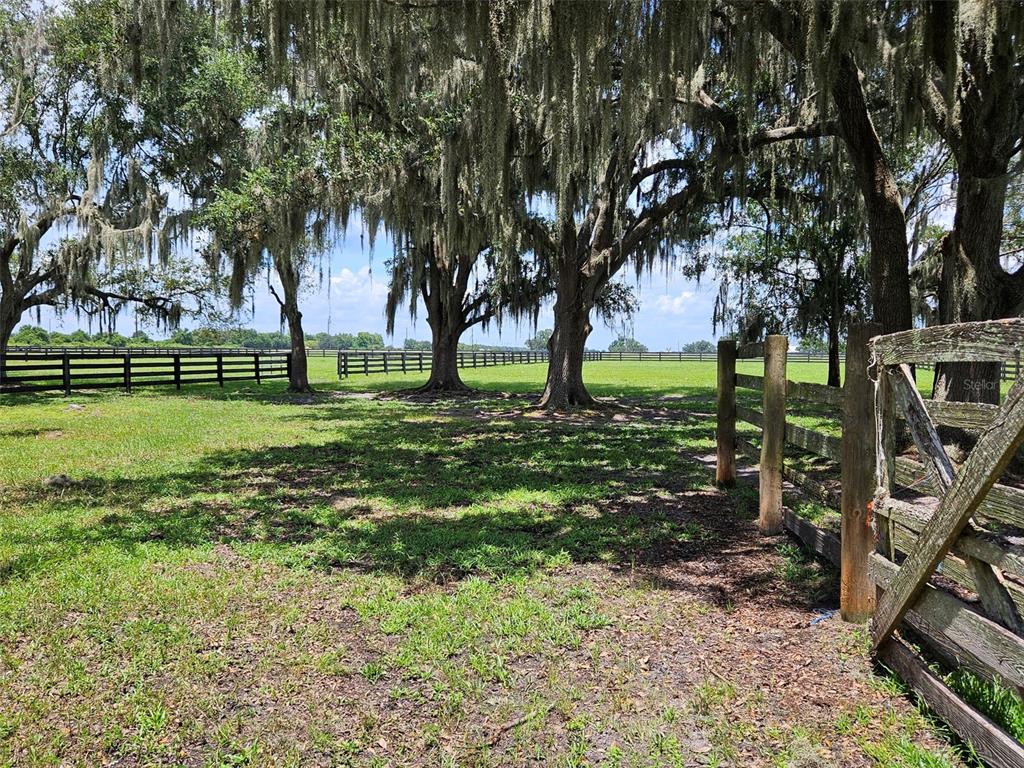 2596 96th Street Arcadia, FL 34266 - Photo 23 of 59 a view of a backyard with large trees