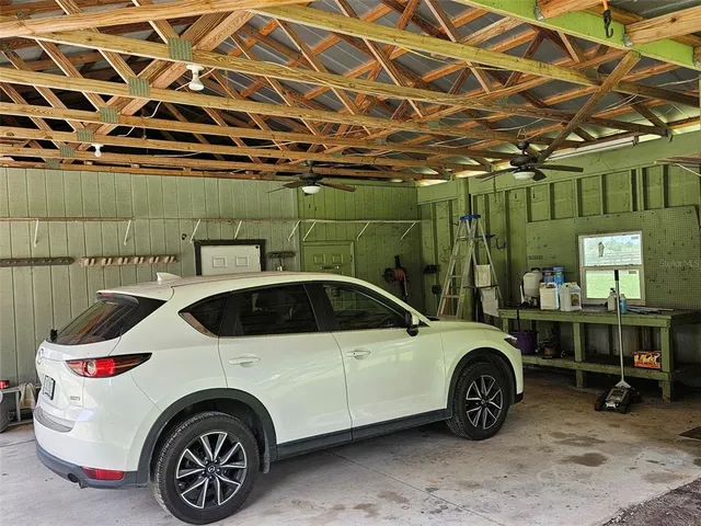 a view of a park with large trees