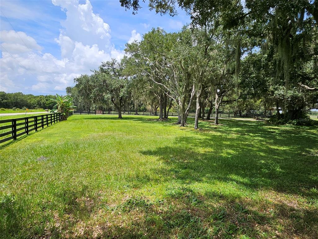 2596 96th Street Arcadia, FL 34266 - Photo 32 of 59 a big yard with lots of green space and trees