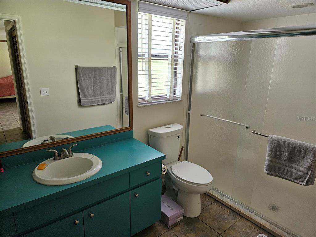 2596 96th Street Arcadia, FL 34266 - Photo 34 of 59 a bathroom with a sink toilet a mirror and shower