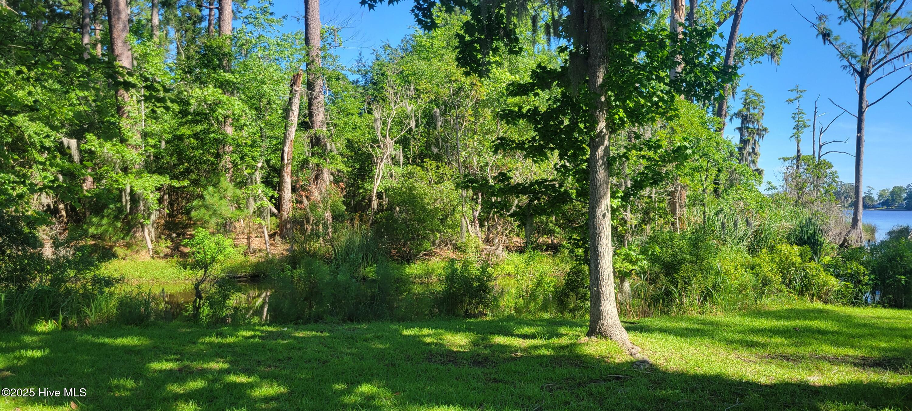 609 Long Point Road Chocowinity, NC 27817 - Photo 50 of 71 ANOTHER SHOT OF THE LAND PART OF THE 2.02 ACRES