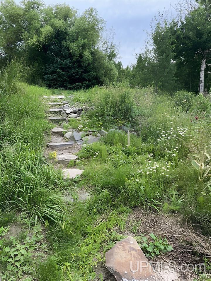24191 East Aalto Road Covington, MI 49919 - Photo 66 of 81
