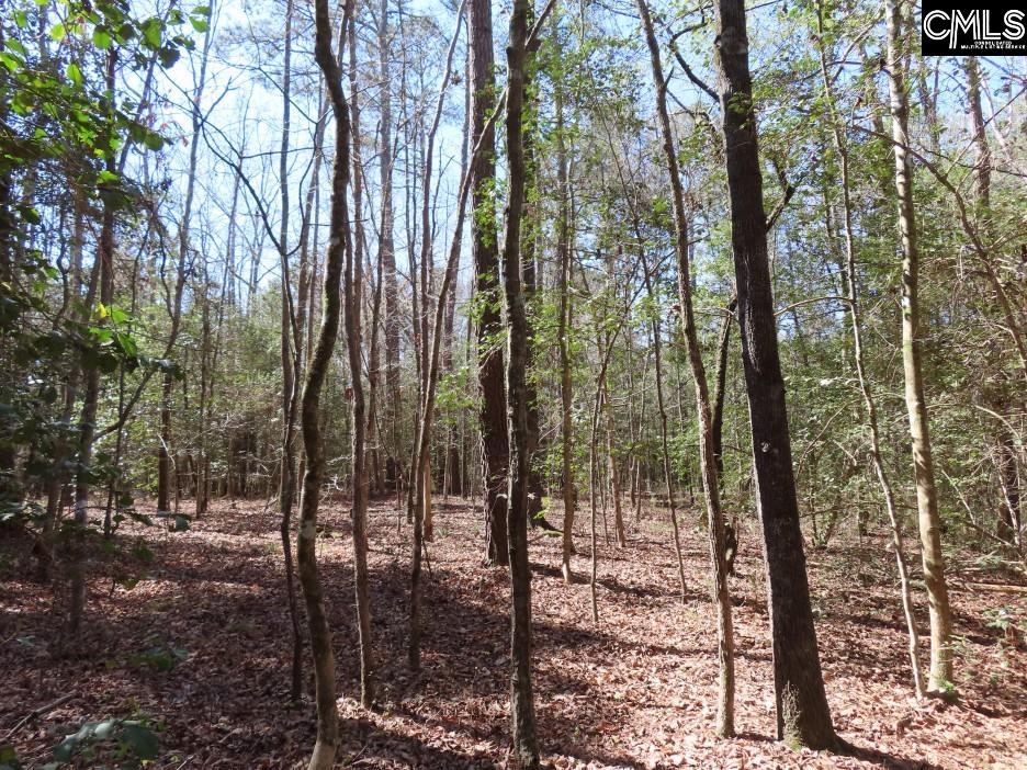 1672 Dixired Road Leesville, SC 29070 - Photo 18 of 67