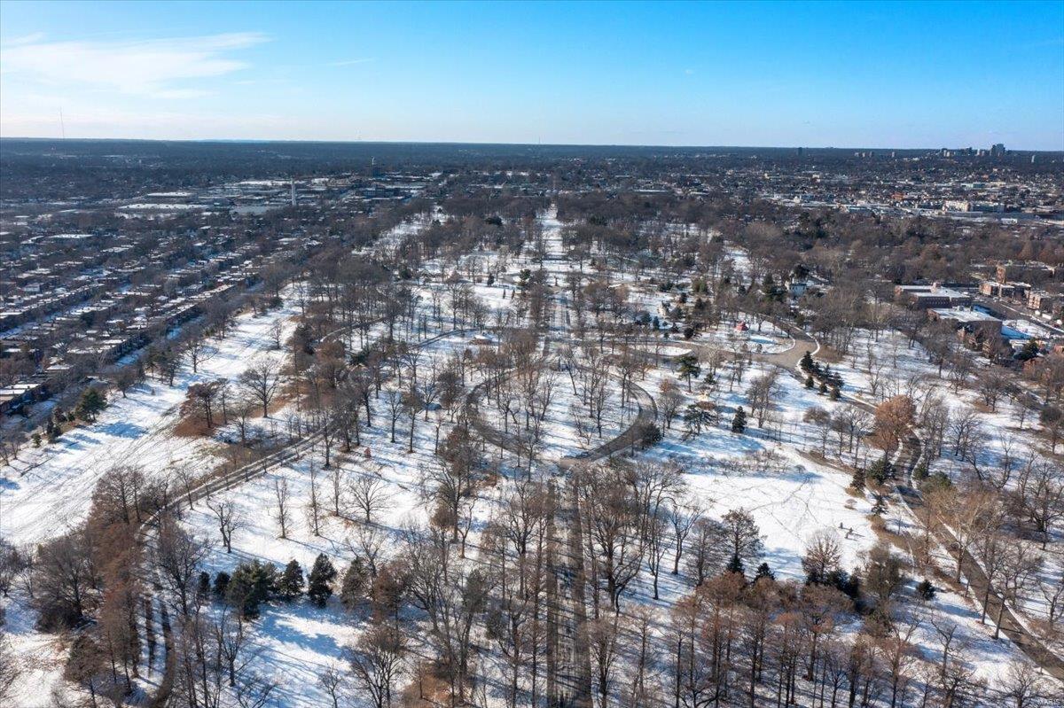 4169 Flora Place St. Louis, MO 63110 - Photo 81 of 81