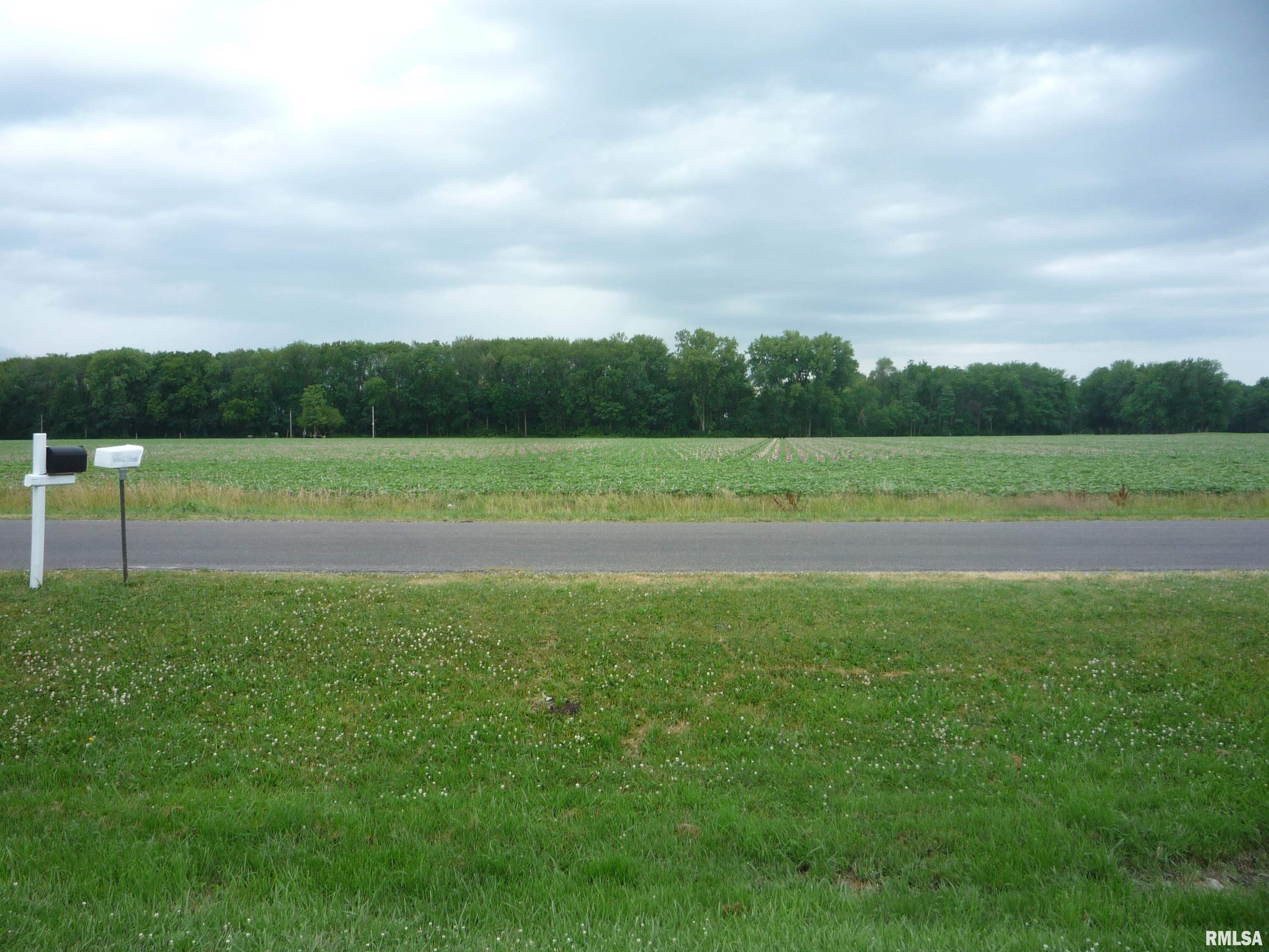 2086 New Lake Road Jacksonville, IL 62650 - Photo 3 of 30