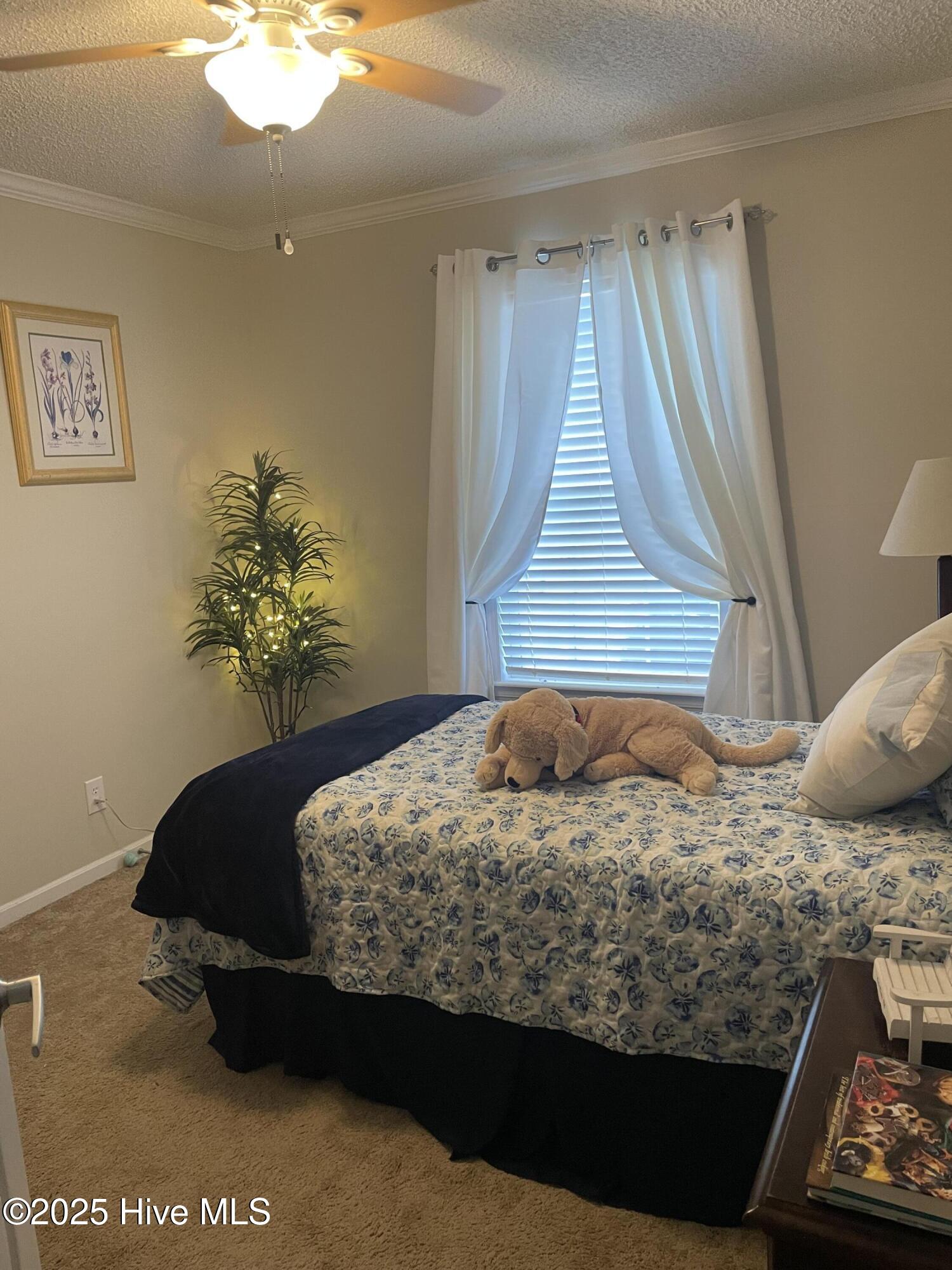 1194 Willeyton Road Gates, NC 27937 - Photo 15 of 22 4th bdr,